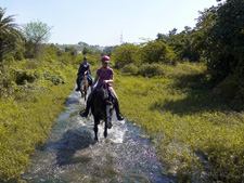 India-Rajasthan-Udaipur Riding Safari in Rajasthan